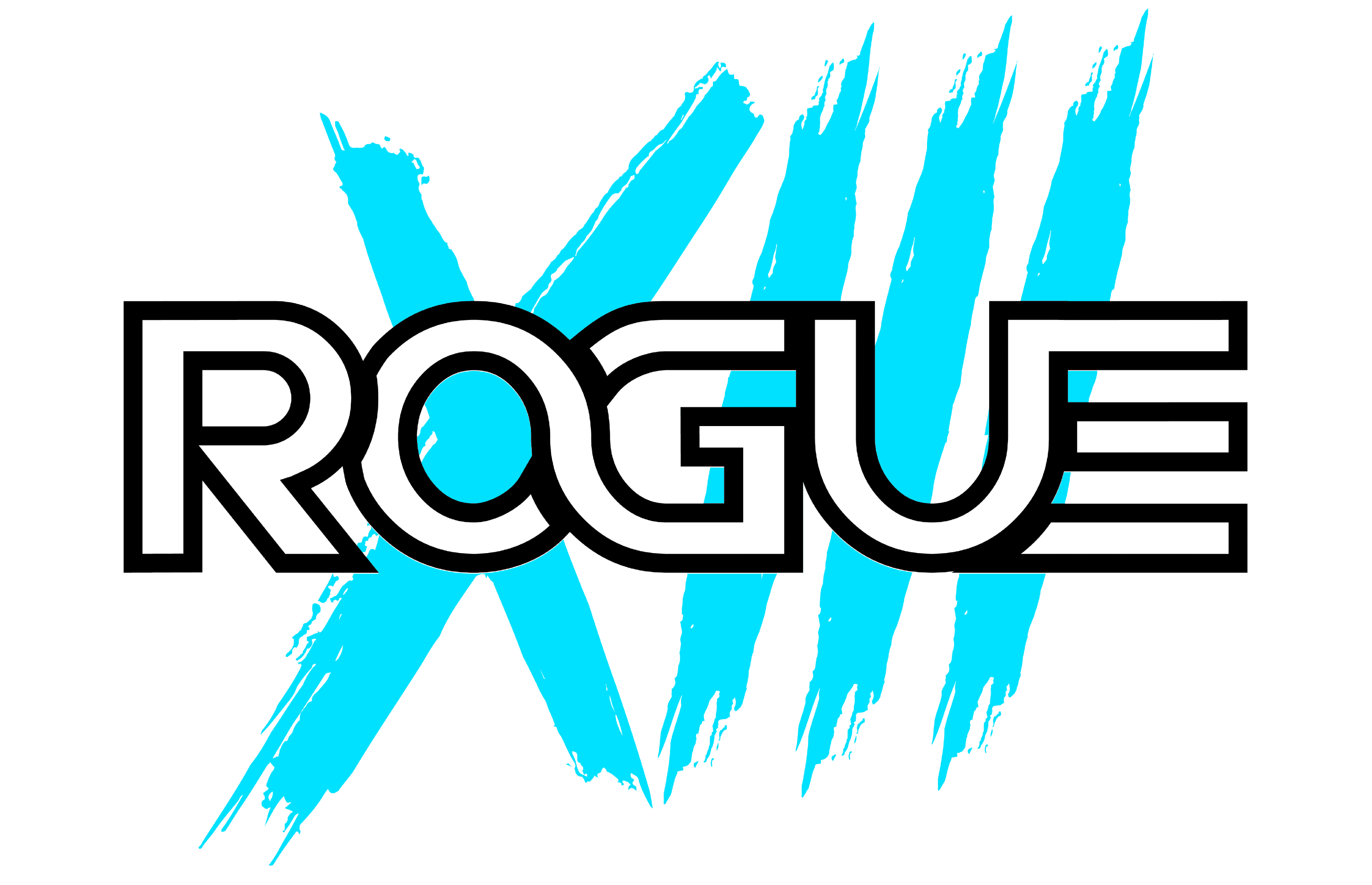 Rogue XIII Logo
